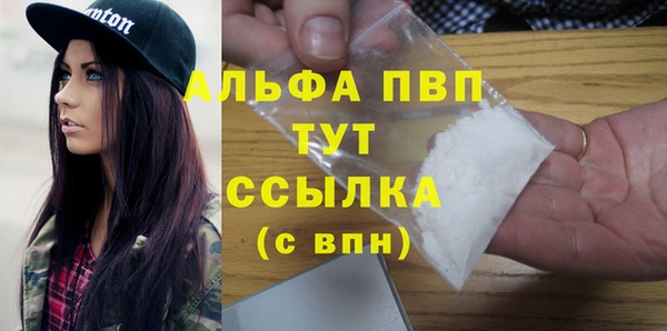 шишки Горно-Алтайск