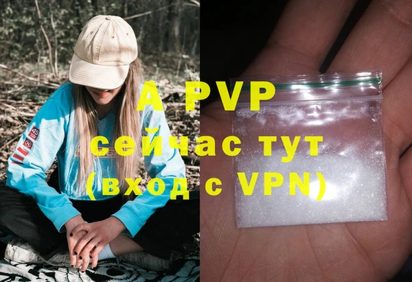 шишки Горно-Алтайск