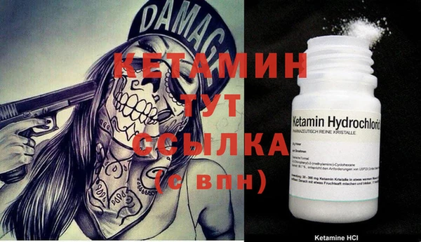 шишки Горно-Алтайск