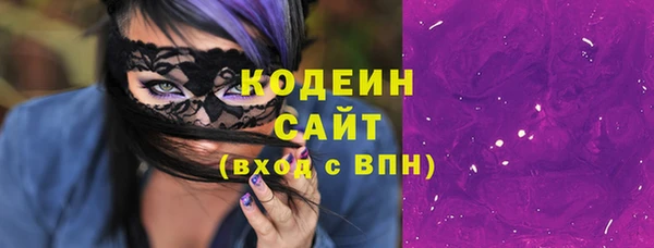 прущие грибы Вязьма