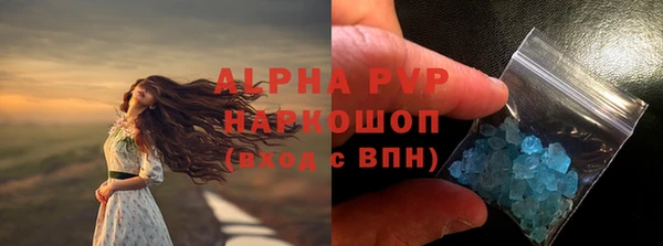 шишки Горно-Алтайск