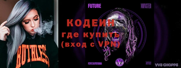 гидра Вяземский