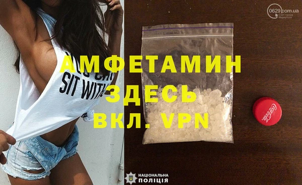 прущие грибы Вязьма