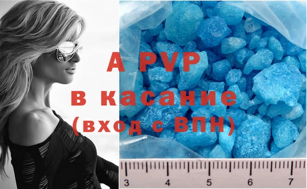 шишки Дмитриев
