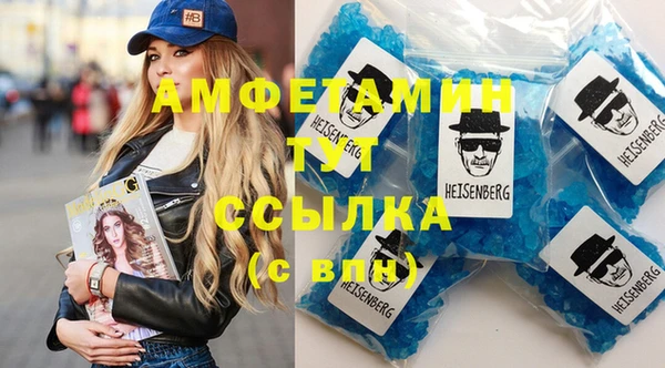 прущие грибы Вязьма