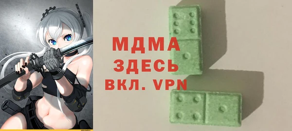 гидра Вяземский