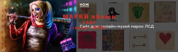 прущие грибы Вязьма