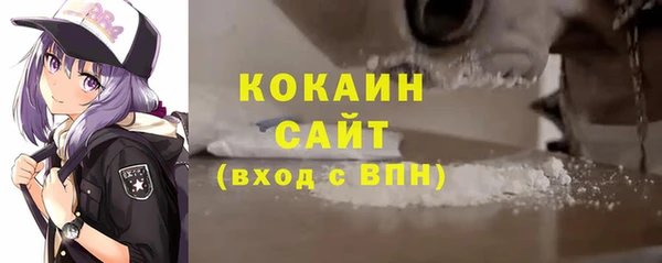 шишки Горно-Алтайск