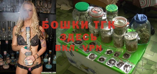 мет Елизово
