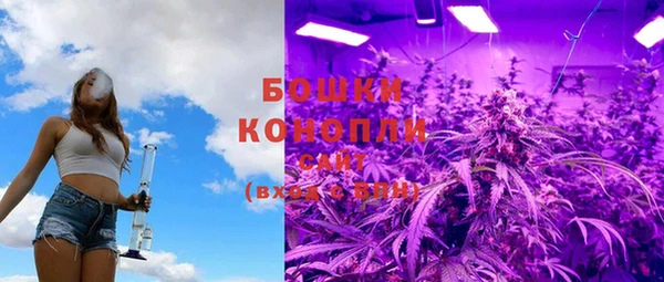 spice Горняк