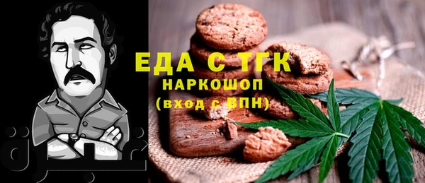 гидра Вяземский