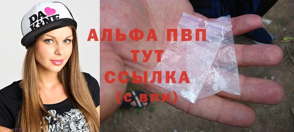 spice Горняк