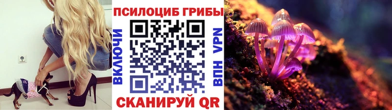Галлюциногенные грибы Cubensis  Купить  Онега 