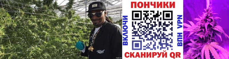 Конопля семена  Купить  Онега 