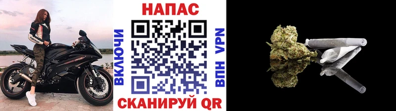Шишки марихуана Bruce Banner Онега